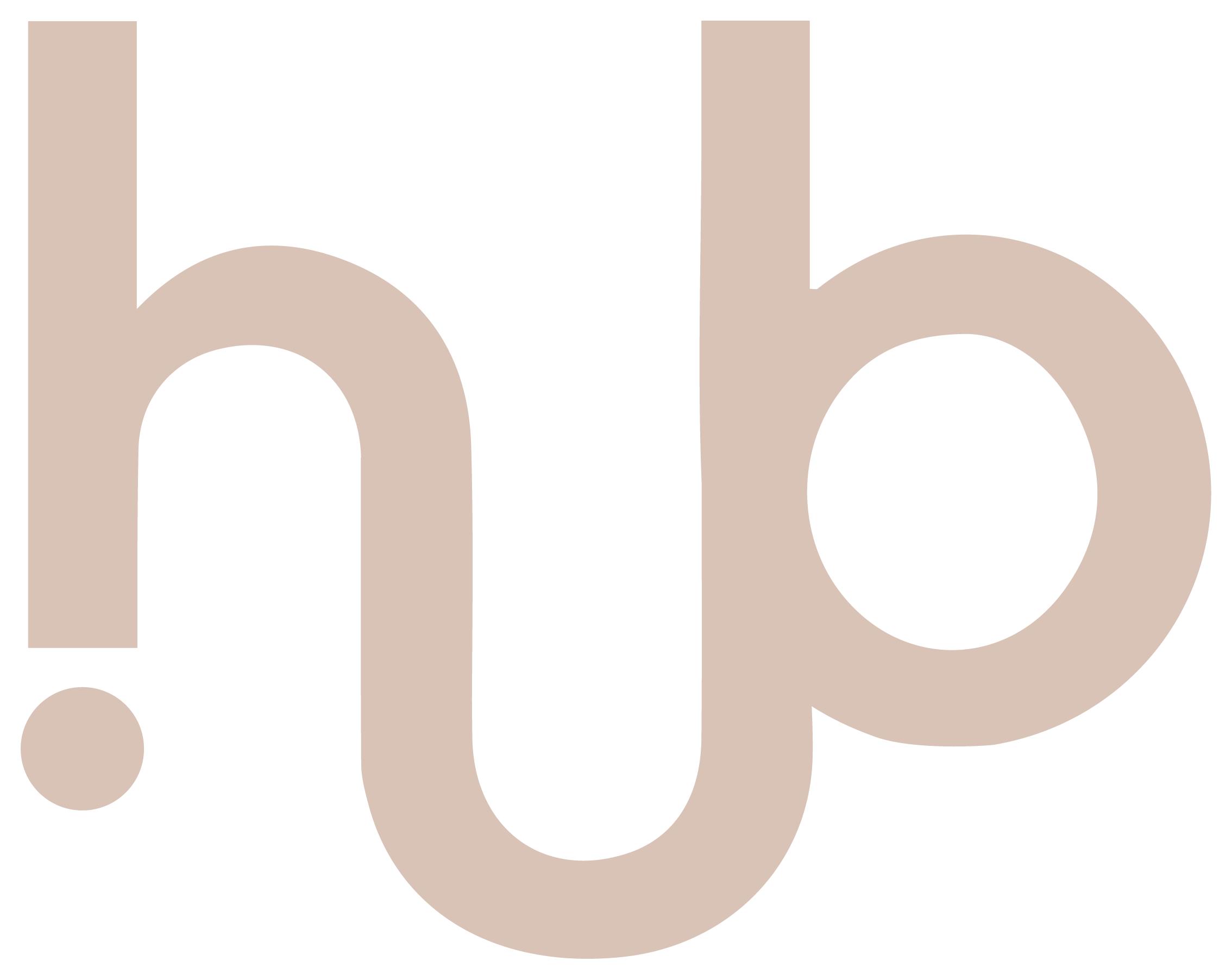 HUB Skin