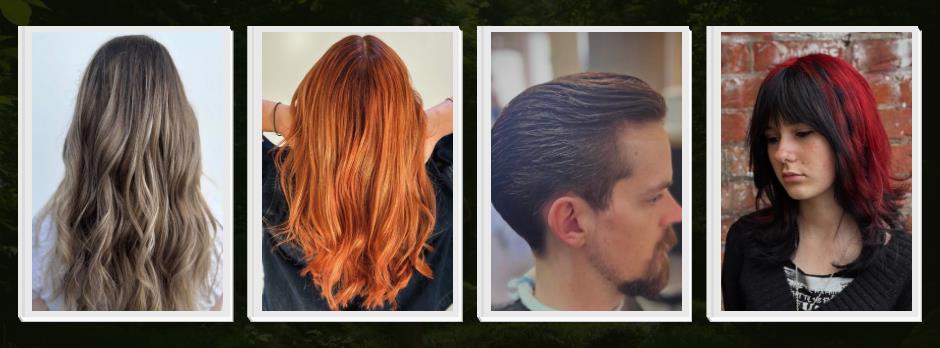 Stylz Hair Studio