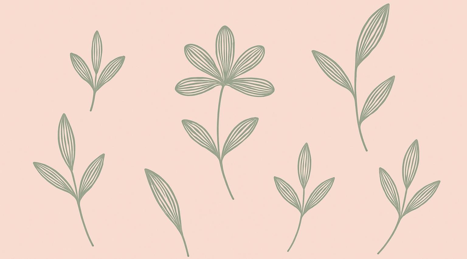 Beauty by Alice Anastasia