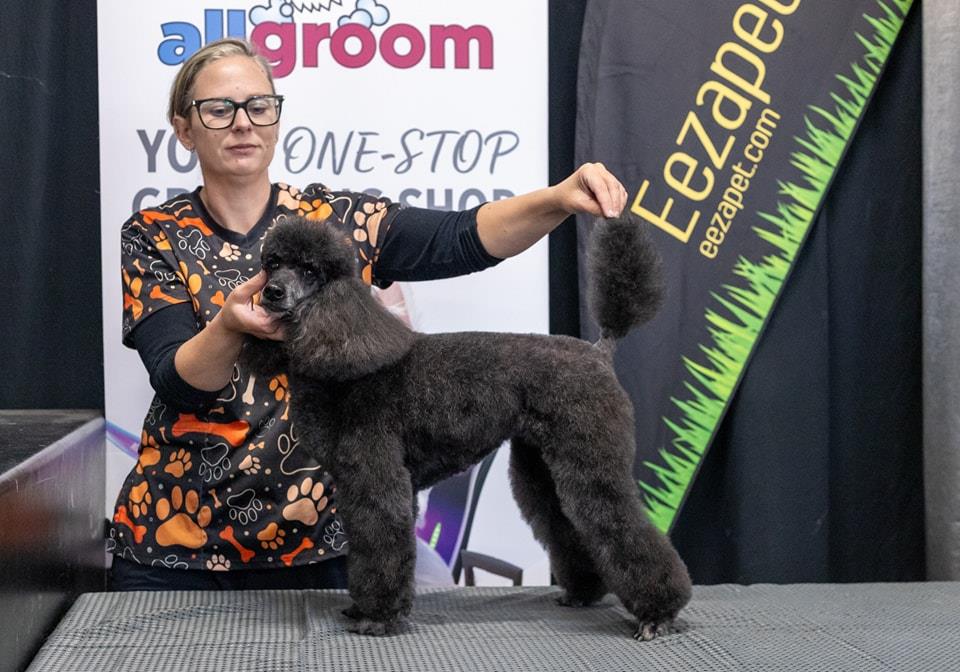 Staceys dog salon