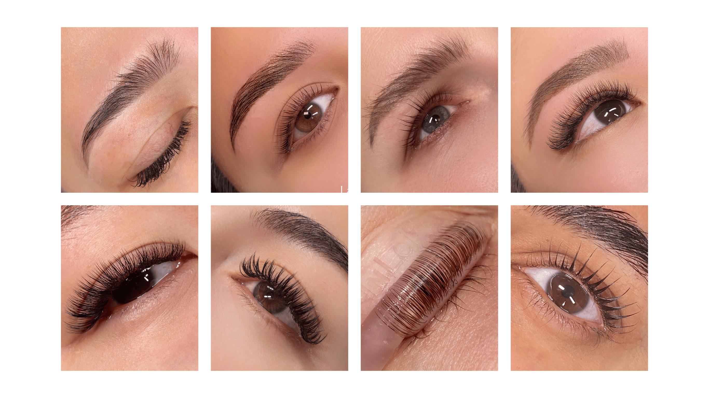 Lash and Co.Society