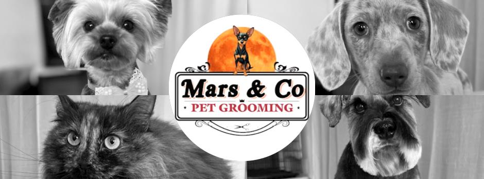 Mars & Co Pet Grooming