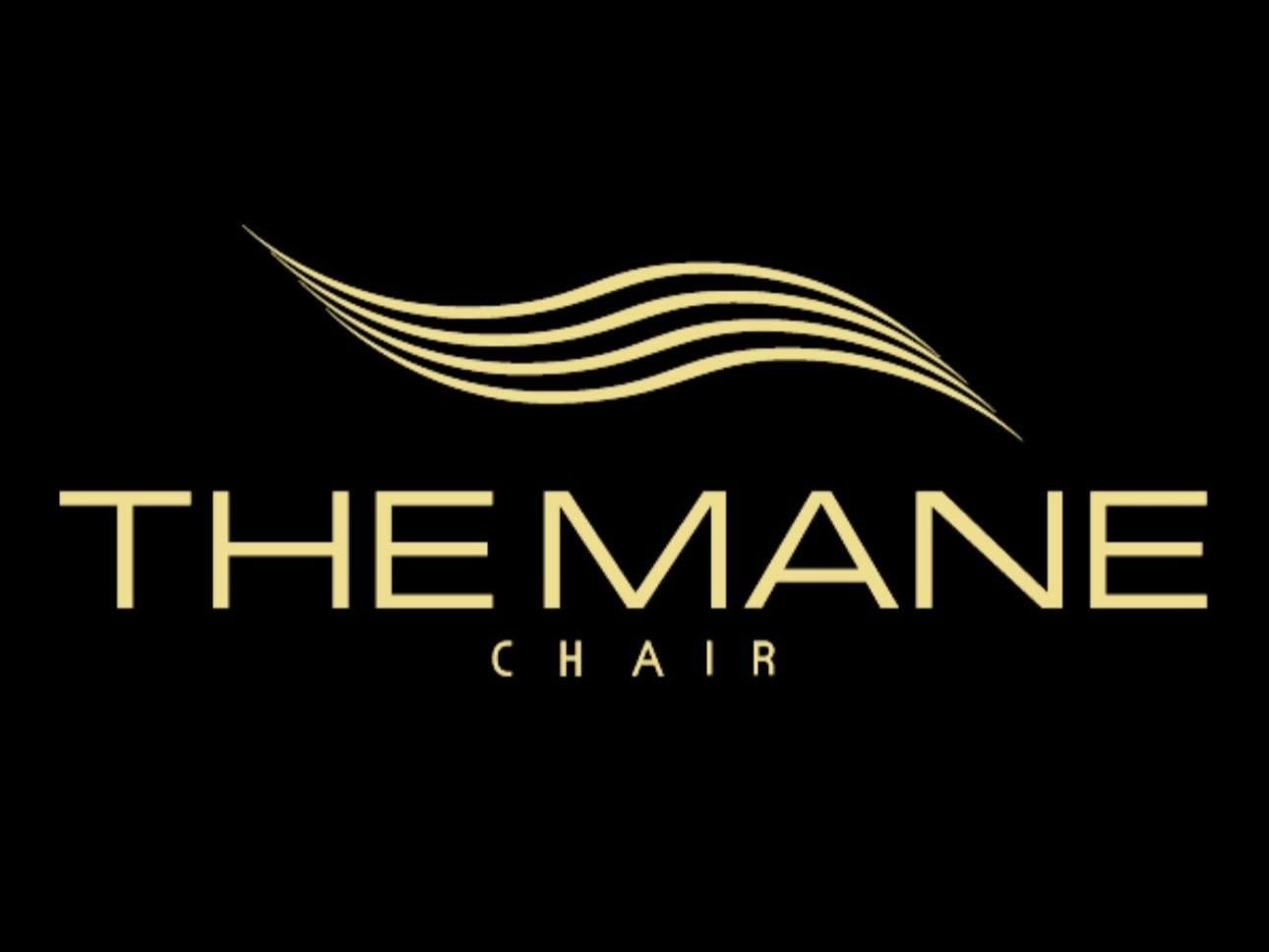The Mane Chair - Hair Salon