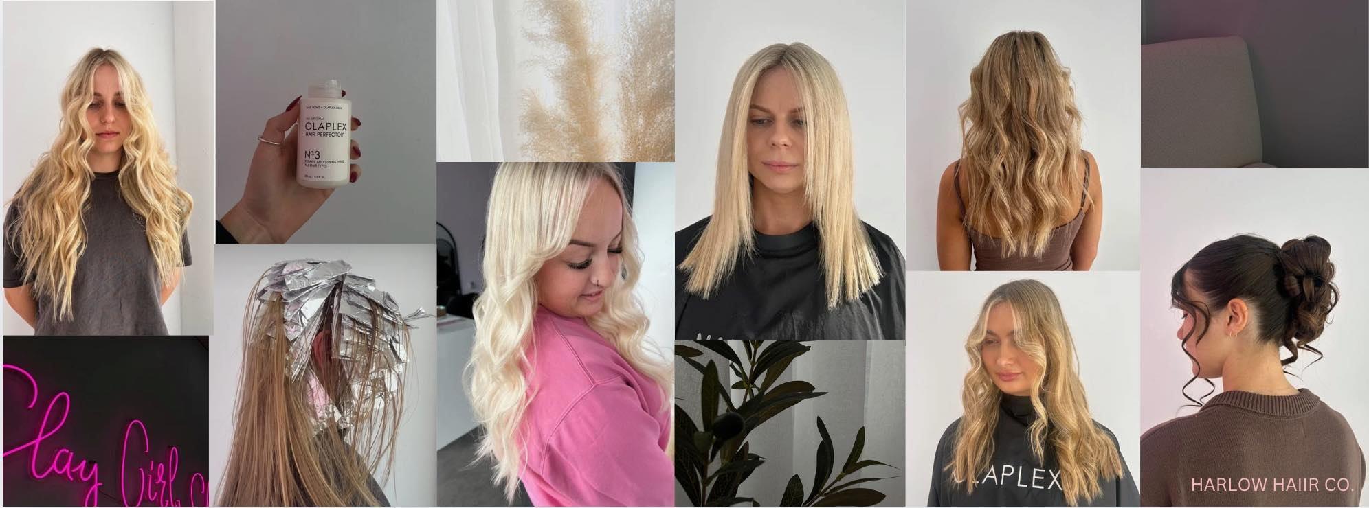 Harlow Hair and Body 