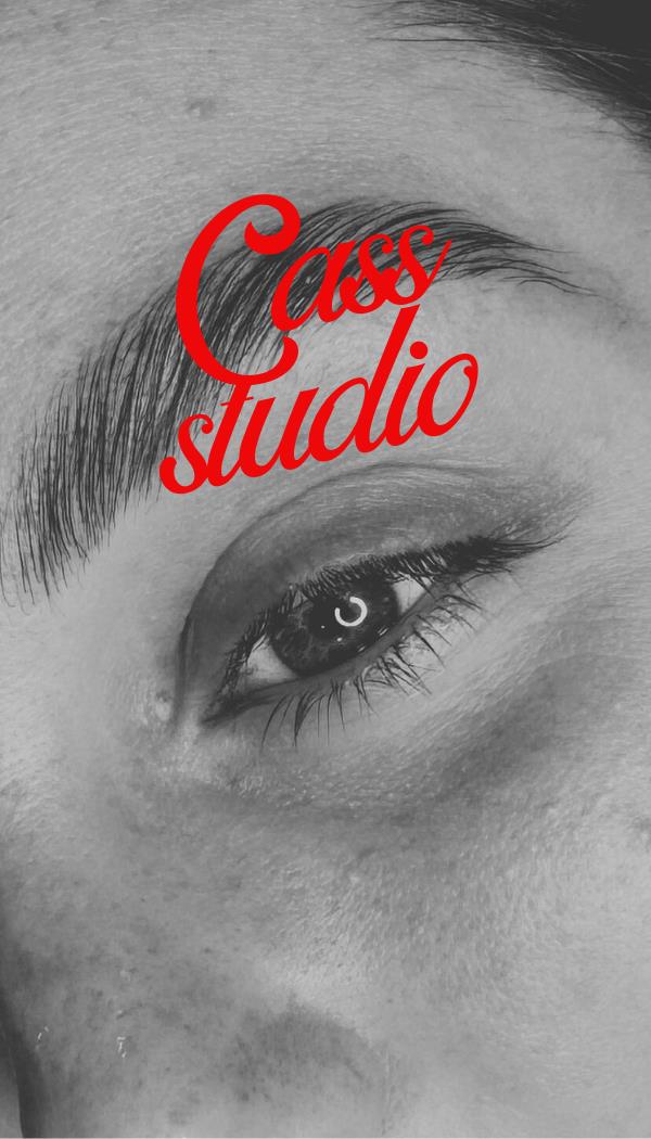 CASS studio