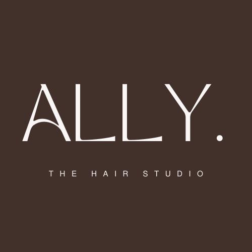 Ally The Hair Studio