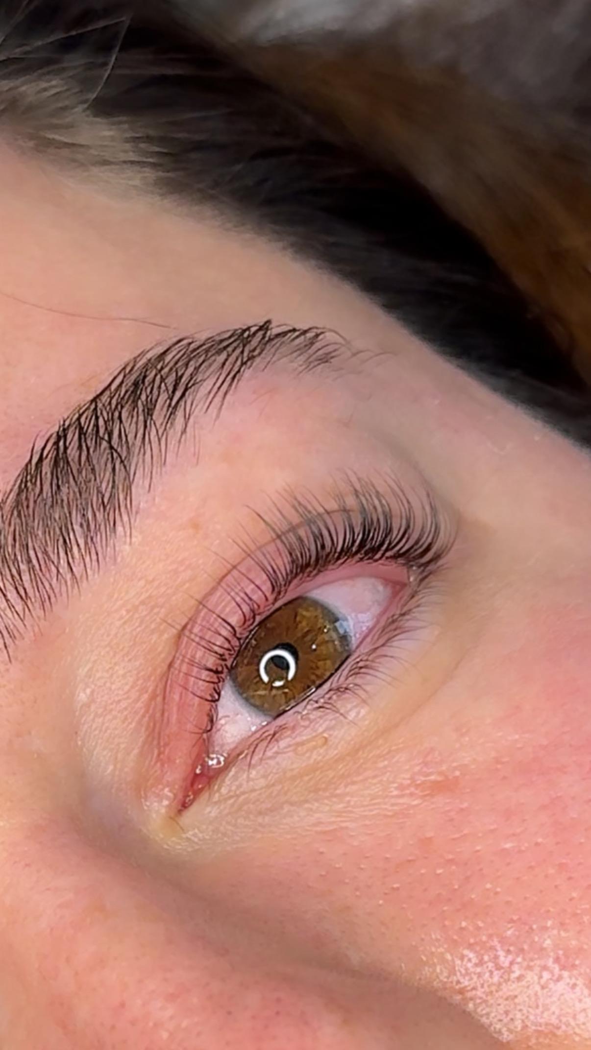 lash addict lashes