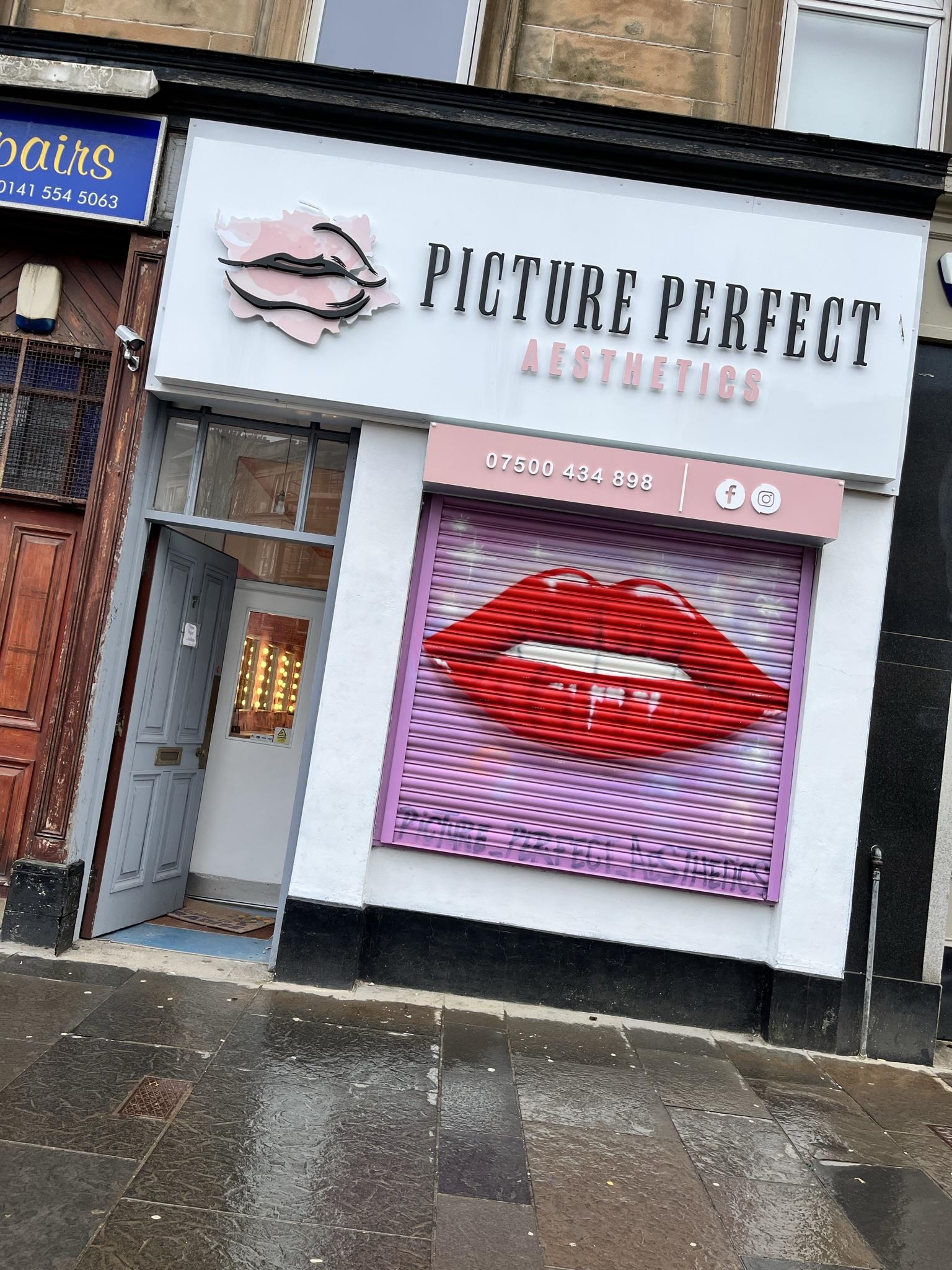 Picture Perfect Aesthetics