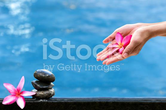 Ebb&Flow Natural Therapy Studio