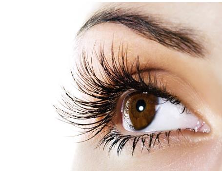 Lash Laboratory