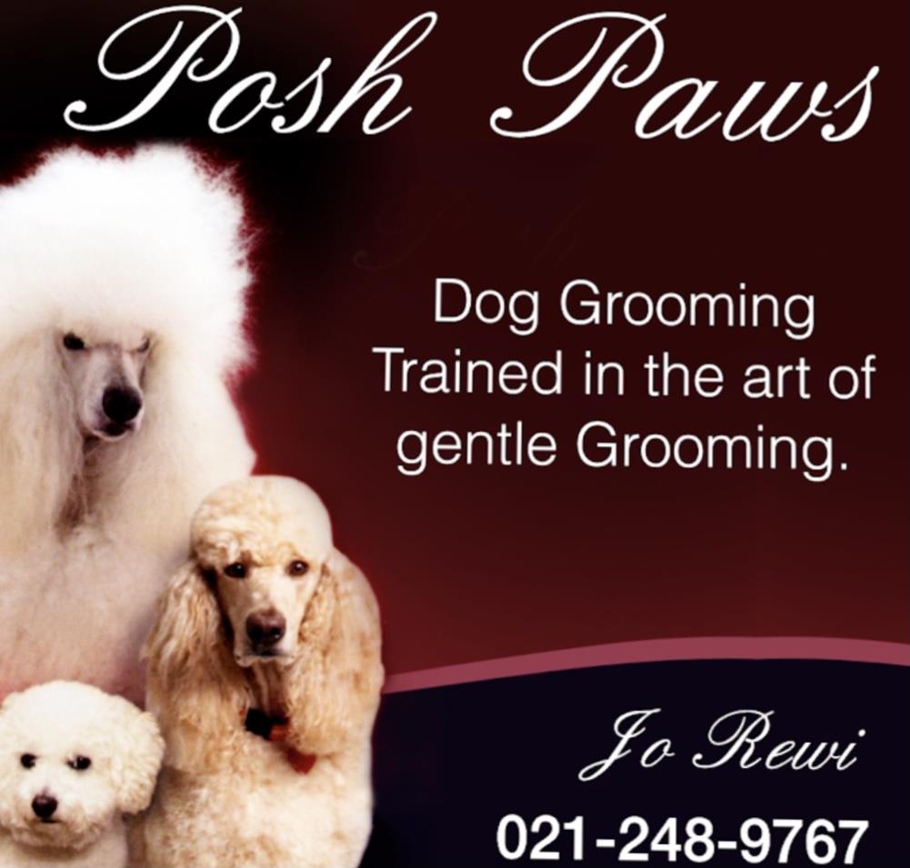 Posh paws deals grooming