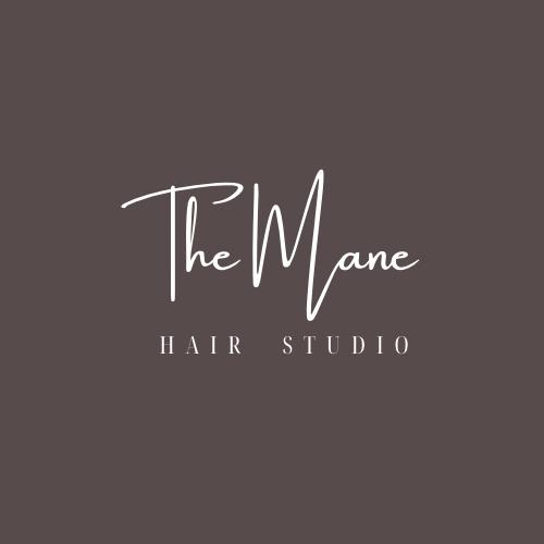 The Mane Hair studio