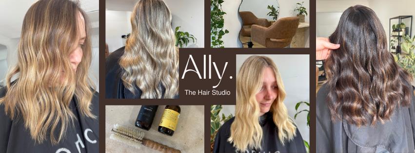 Ally The Hair Studio