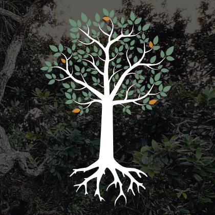 Back to Life Integrative Body Wellness