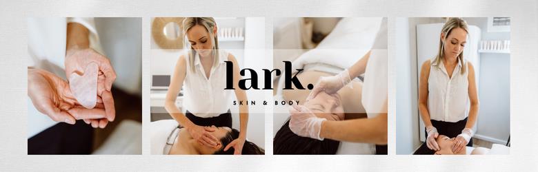 Lark Skin and Body