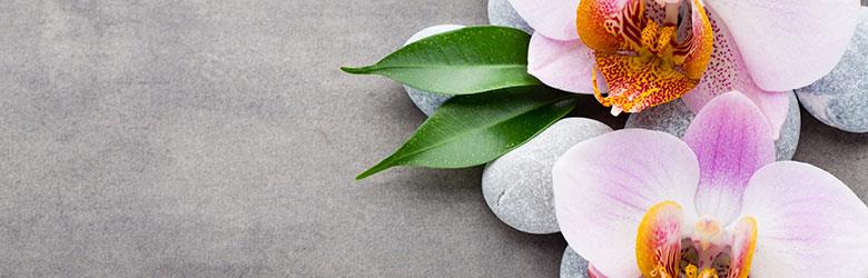 Paramount Thai Massage