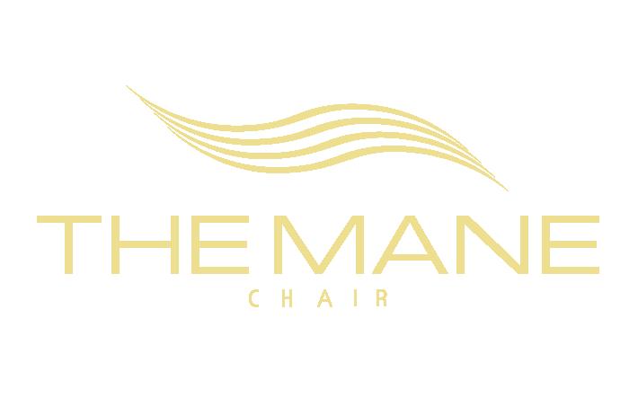 The Mane Chair - Hair Salon