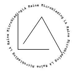 LA Raine Microblading