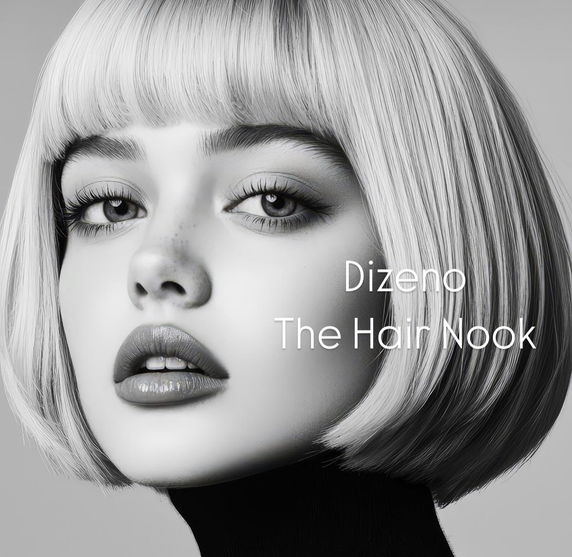 DIZENO THE HAIR NOOK