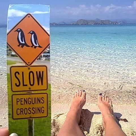 Rest & Reset