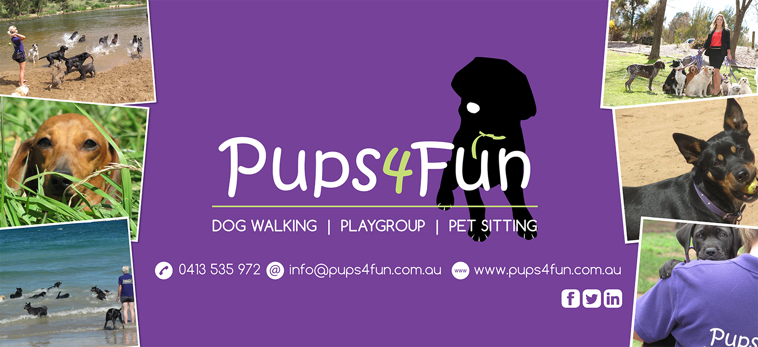 Pups 4 Fun 