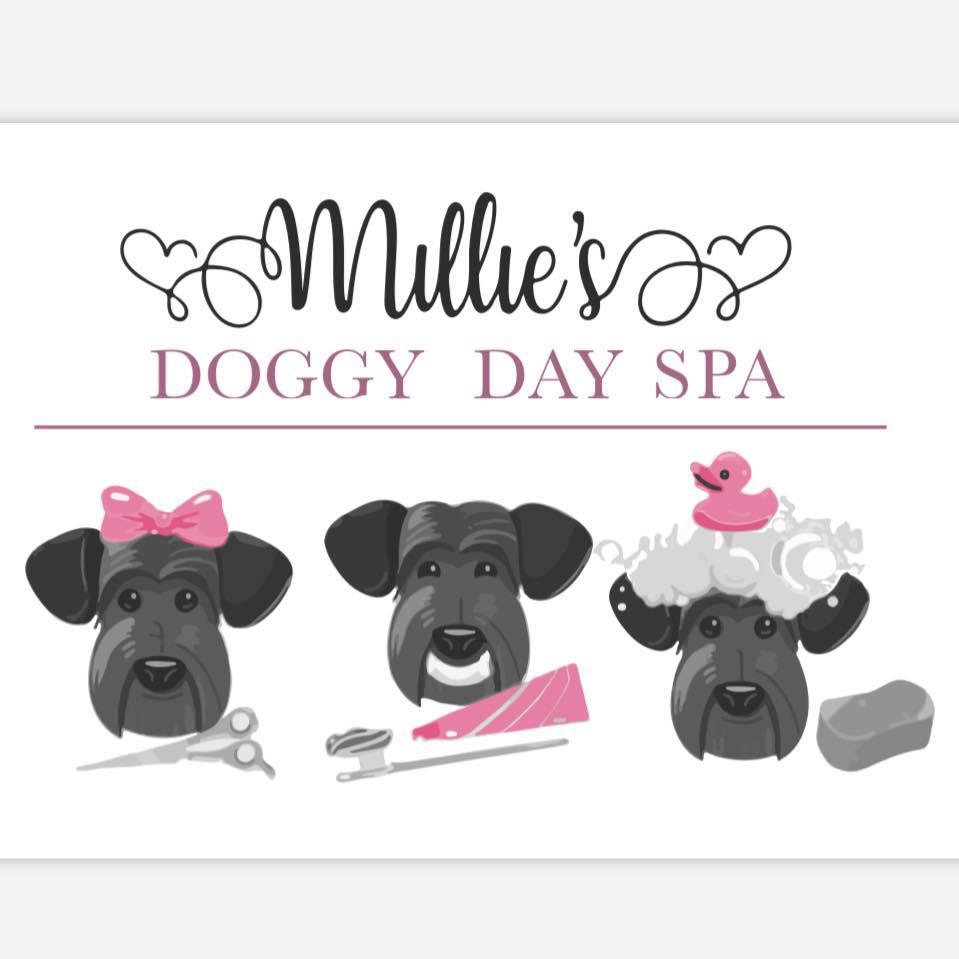 Millies Doggy Day Spa