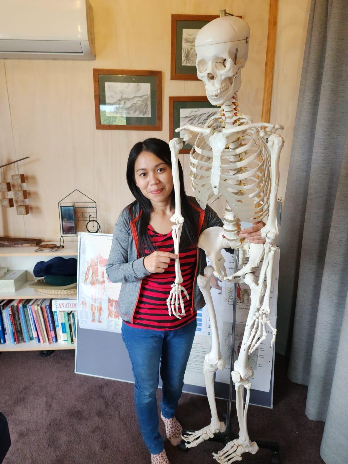 Original Mountain Massage Blenheim