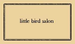 little bird salon