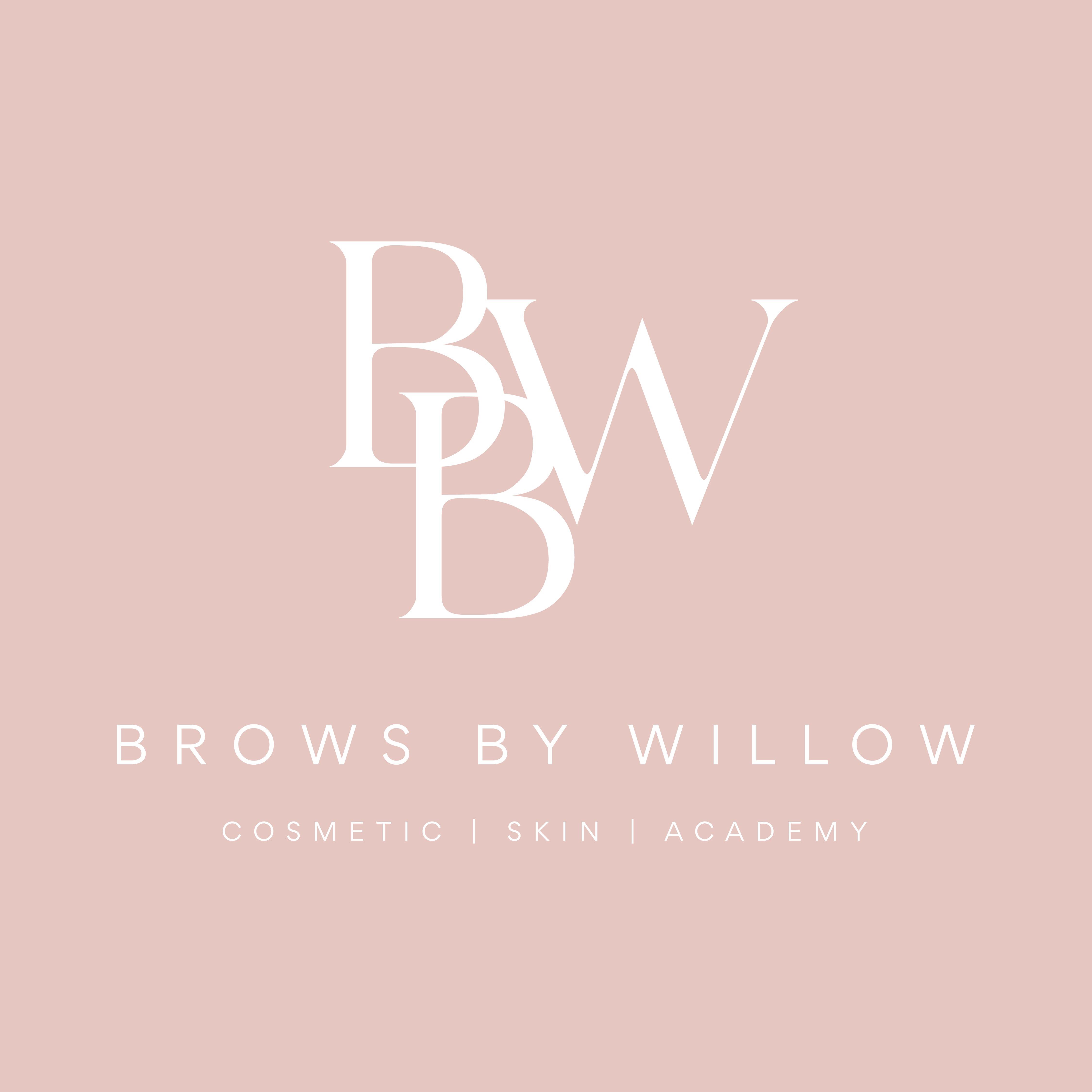 Brows by Willow