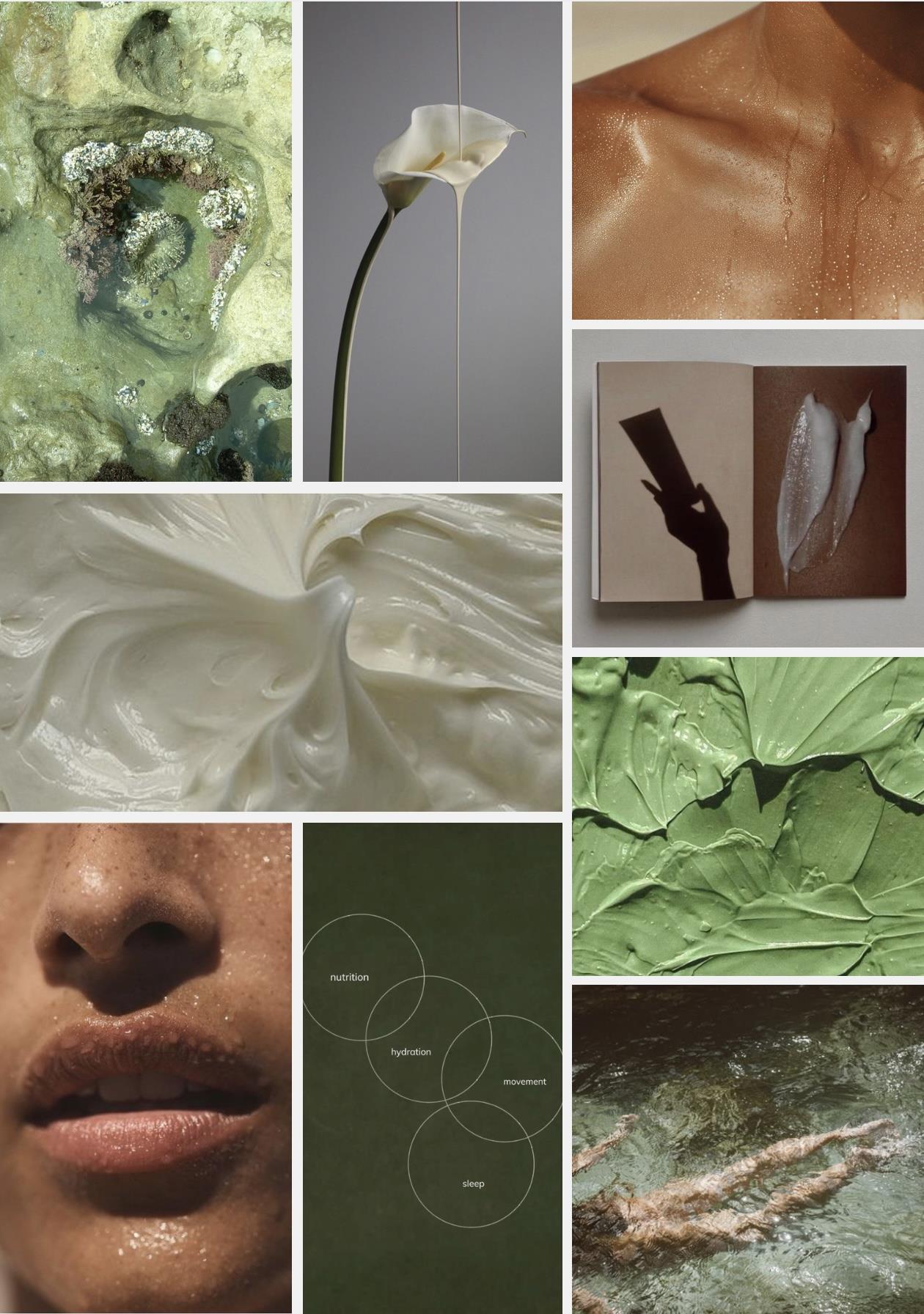 Surround aesthetics and wellness