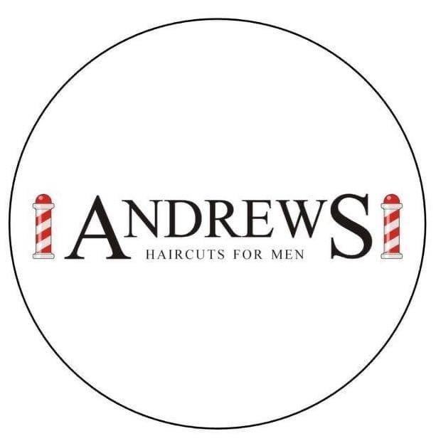 Andrews Haircuts for Men