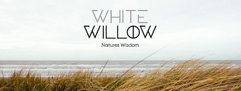 White Willow Natures Wisdom